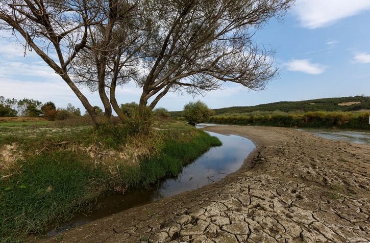 Effecten van klimaatverandering